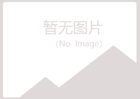 岱山县雪枫金属有限公司